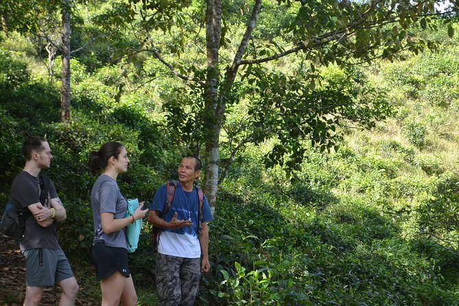 High Mountain Day Trek - Timing and route flexibility: why your day might feel slightly different