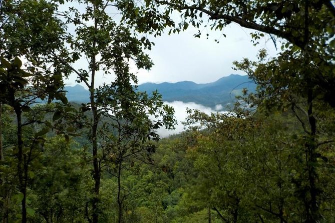High Mountain Day Trek - Price and value: $63 for a full day of guided nature