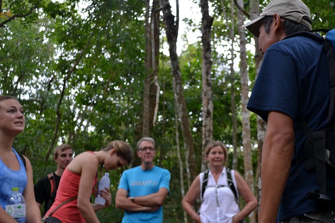 High Mountain Day Trek - The hike on ridges and jungle trails: effort level and what to watch for