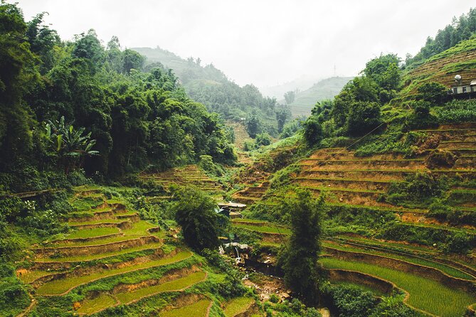 Highland Harmony Trek in Sapa - Y Linh Ho: first Black H’mong encounters above the valley