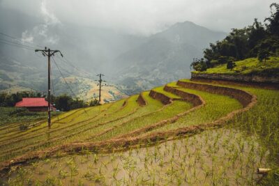 Highland Harmony Trek in Sapa - Muong Hoa Valley descent: rice terraces and quiet village lanes