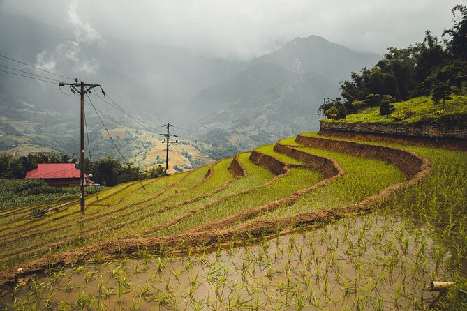 Highland Harmony Trek in Sapa - Muong Hoa Valley descent: rice terraces and quiet village lanes