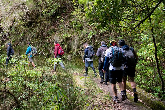 Hiking and Trekking tours in Madeira - Key tour highlights at a glance