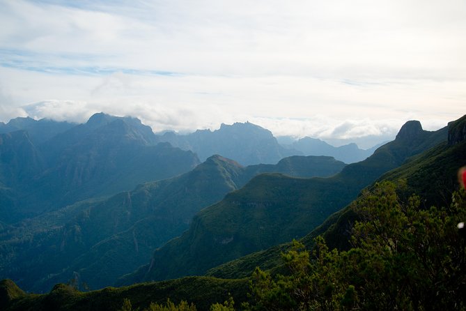 Hiking and Trekking tours in Madeira - Walking the Levada trail: why a guide is the real convenience
