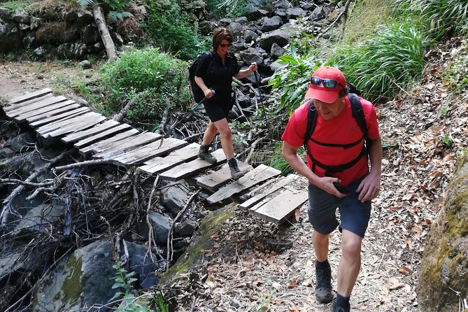 Hiking and Trekking tours in Madeira - Flora and fauna explanations in English (and the guide makes it click)