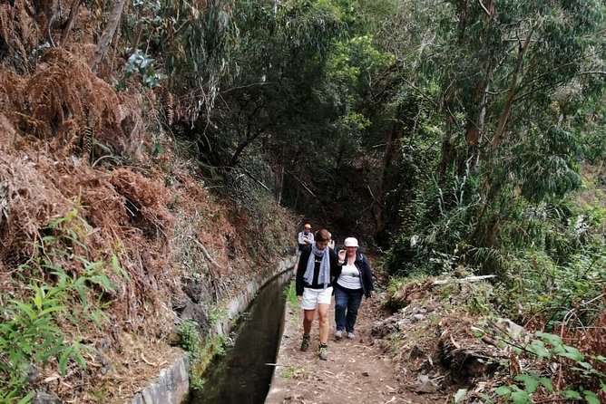 Hiking and Trekking tours in Madeira - Pace, weather, and comfort: plan smart for an outdoor day