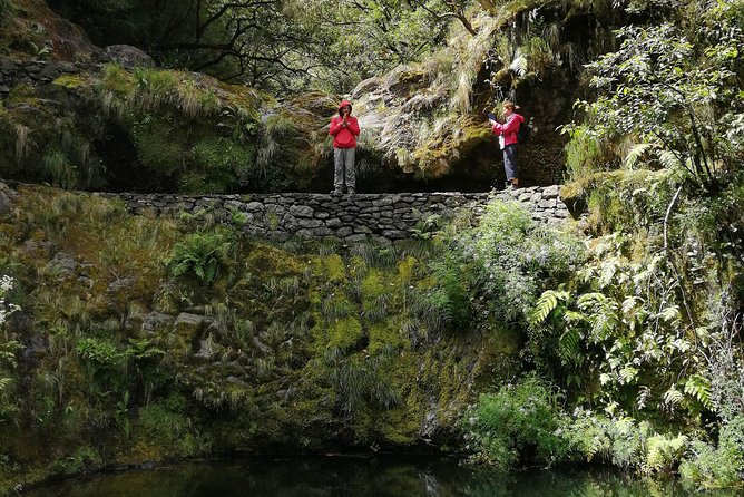 Hiking and Trekking tours in Madeira - Food and drinks: what’s included, what isn’t, and what that means