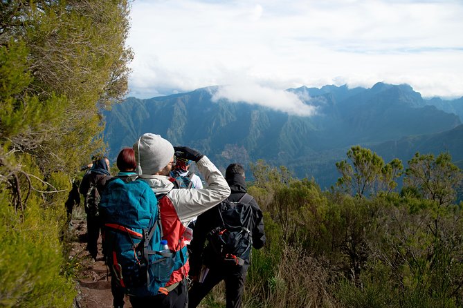 Hiking and Trekking tours in Madeira - 9:00 am start in Funchal: the easy start that matters