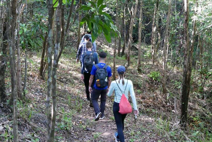 Hoi An: Amazing My Son Sanctuary and Mountain Trekking - Jungle Trekking With Hidden Paths and Stream-Side Quiet