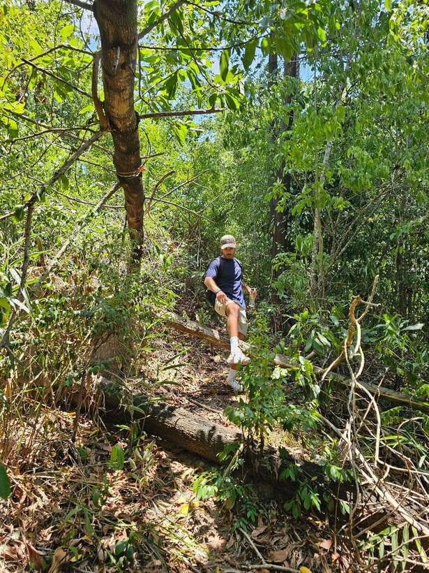 Hoi An: Amazing My Son Sanctuary and Mountain Trekking - Who This Tour Fits Best