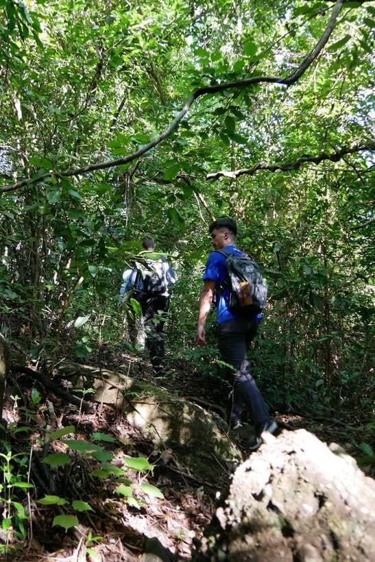 Hoi An: Amazing My Son Sanctuary and Mountain Trekking - The Bottom Line: Should You Book This Tour?