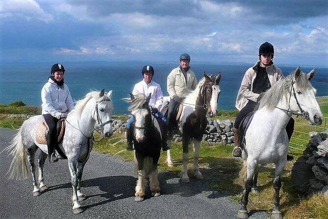 Horse riding - Dirt Trek Trail. Lisdoonvarna, Clare. Guided. 1 hour. - Price and value: what you get for $121.62