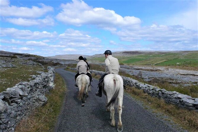 Horse riding - Dirt Trek Trail. Lisdoonvarna, Clare. Guided. 1 hour. - Cliffs of Moher and Aran Islands: why the views feel worth it
