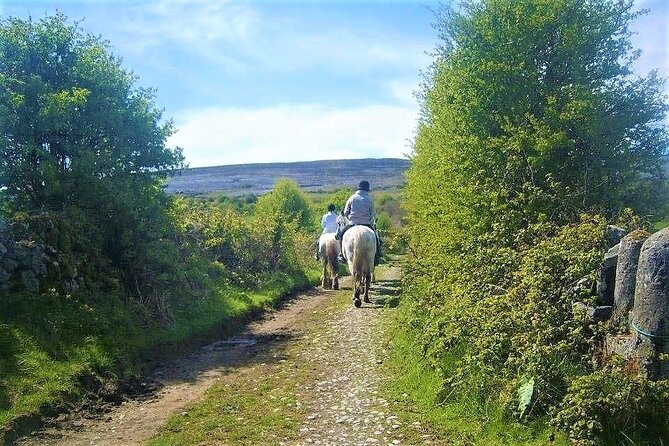 Horse riding - Dirt Trek Trail. Lisdoonvarna, Clare. Guided. 1 hour. - What the guide is like: patient, funny, and tuned to your level