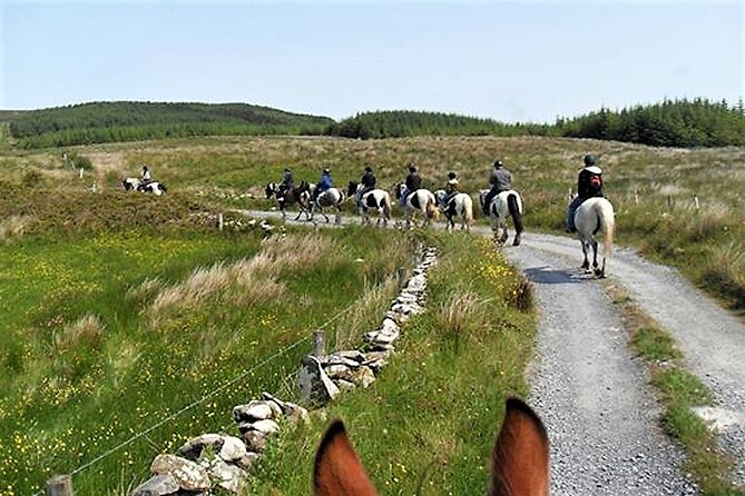 Horse riding - Dirt Trek Trail. Lisdoonvarna, Clare. Guided. 1 hour. - Physical fitness and animal welfare basics you should take seriously