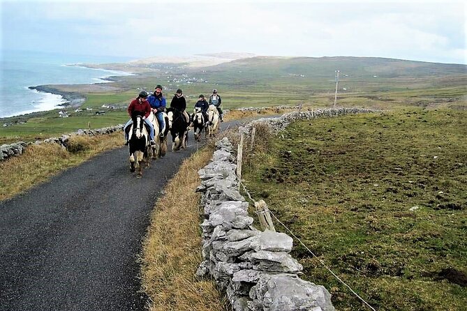 Horse riding - Dirt Trek Trail. Lisdoonvarna, Clare. Guided. 1 hour. - The one-hour ride: woodlands, famine ruins, then viewpoint country