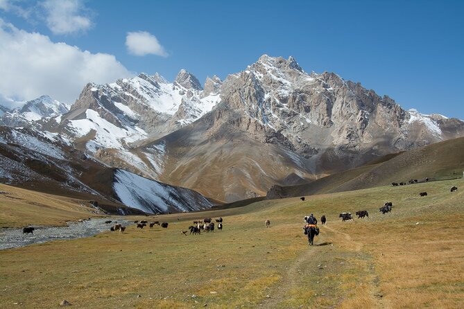 Horse Trek to Kel Suu Lake - Yurt camps and camp cooking: what’s provided versus what you bring