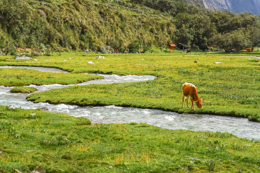 Huaraz: 3-hour Trek to Laguna 69 with Optional Lunch - Pickup Timing and the One Schedule Rule That Matters