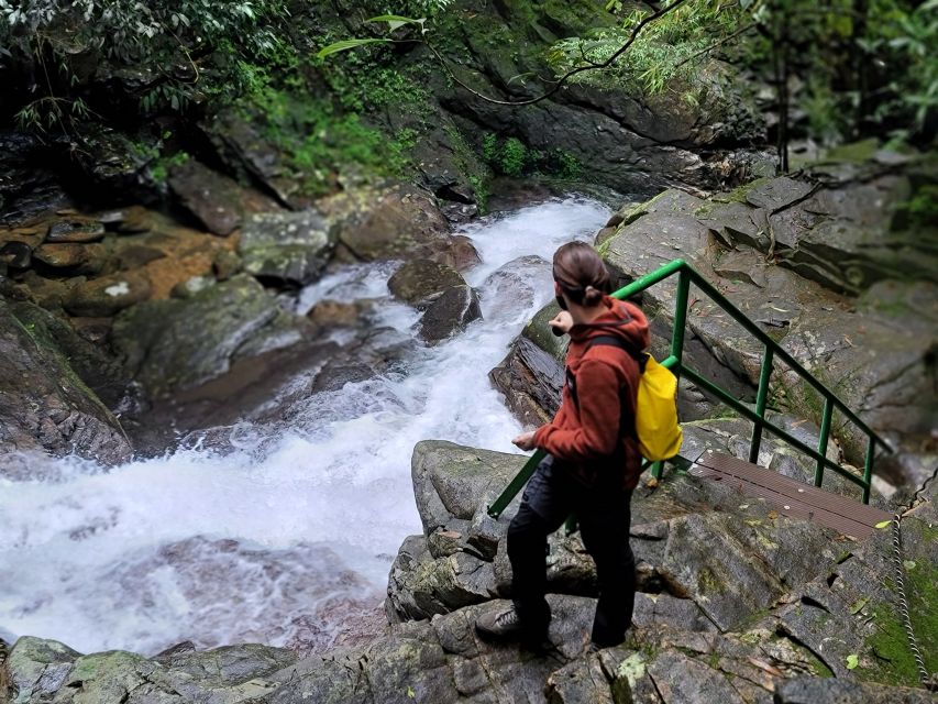 Hue to Da Nang/Hoi An via Bach Ma Trekking - Key highlights for Hue to Da Nang/Hoi An via Bach Ma Trekking