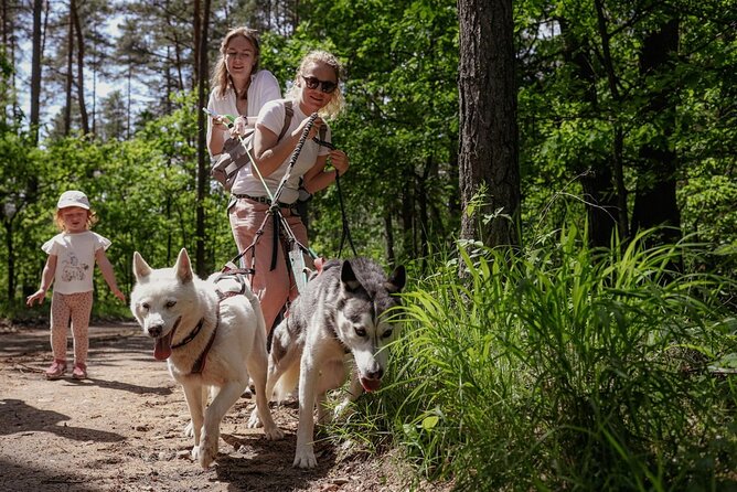 Husky Trekking in Natural Park near Vilnius - Husky Trekking Near Vilnius: A Real Nature Break, Not a Zoo Visit