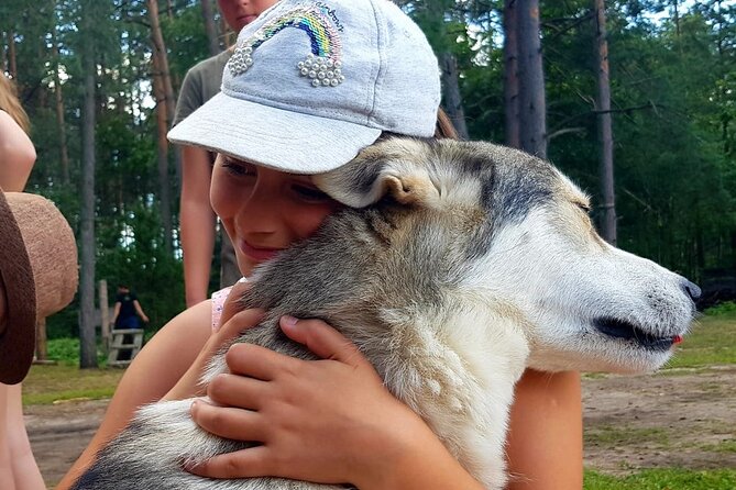 Husky Trekking in Natural Park near Vilnius - On the Trail: Quiet Woods, Trained Huskies, and a Steady Pace