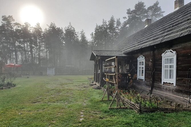 Husky Trekking in Natural Park near Vilnius - The Best Part After the Walk: Tea, Biscuits, and Puppy Time