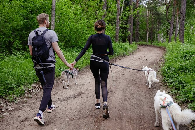 Husky Trekking in Natural Park near Vilnius - Getting There from Vilnius: Timing and What’s Included