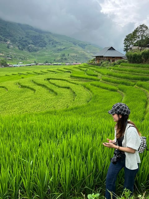 In Sapa: 1 Day Mountain Trek, Visit beautiful villages - Sa Seng Summit: Fansipan Views and the Muong Hoa Valley Spread