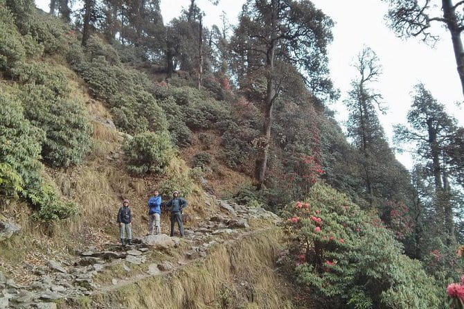 Indrahar Pass Trek with Manu Adventures India - Day 4: Coming back down to Bhagsu Nag (without trashing your knees)