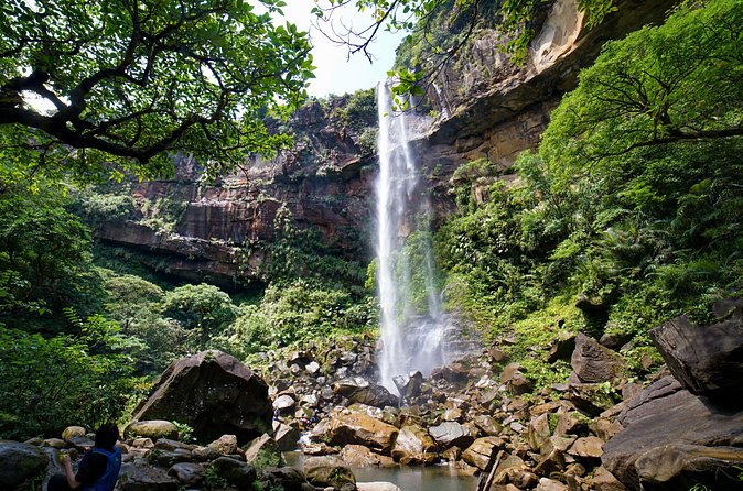Iriomote’s Adventure: Pinaisara Falls Canoe and Trekking Tour - Small group size and guides: why 7 people feels like a sweet spot