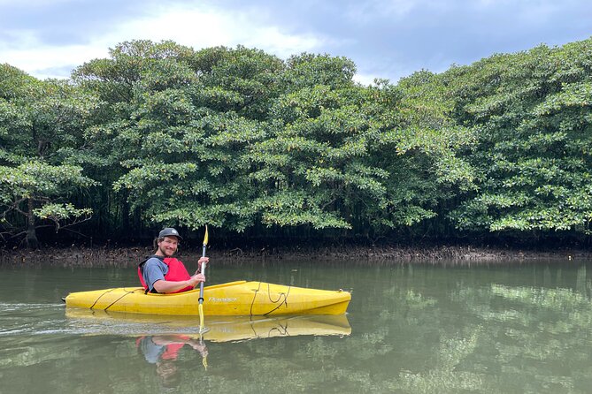 Iriomote’s Adventure: Pinaisara Falls Canoe and Trekking Tour - Getting to the falls the right way: canoe first