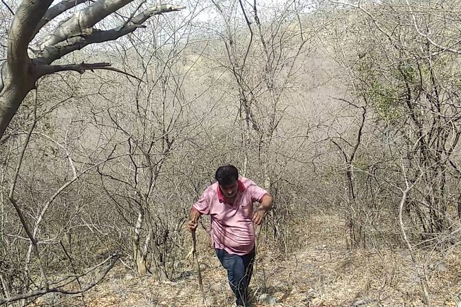 Jaipur Trekking and Hiking Tour with Guide - Group size and pacing: why 20 hikers feels right