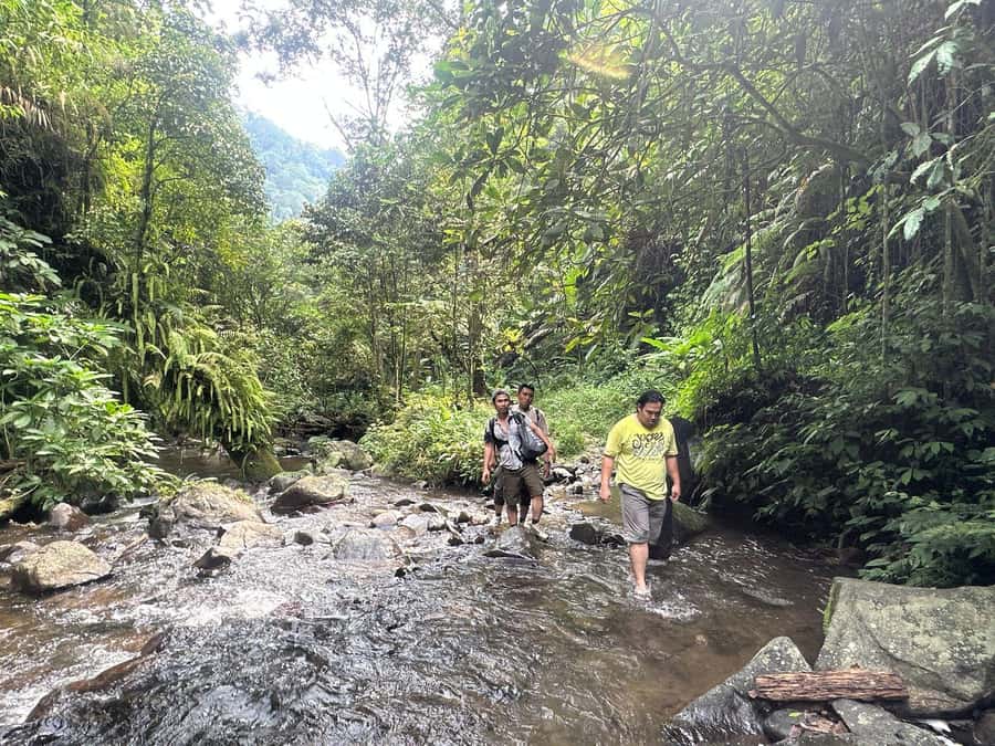 Jakarta: Botanical Garden & Rainforest Trekking to Waterfall - Key Points That Make This Bogor Day Trip Worth It