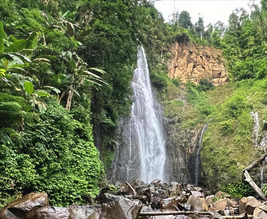 Jakarta: Botanical Garden & Rainforest Trekking to Waterfall - Getting Out of Jakarta: Rice Fields, Villages, and Real Day-to-Day