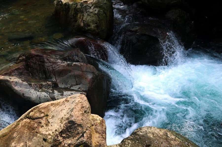 Jakarta: Botanical Garden & Rainforest Trekking to Waterfall - The Full-Day Flow: How to Think About Timing and Energy