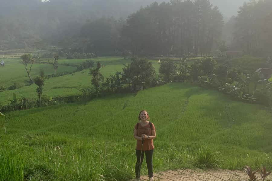 Jakarta: Sentul Pine Forest and Waterfall Trekking Tour - Lunch break and shopping stops: eat local, keep moving