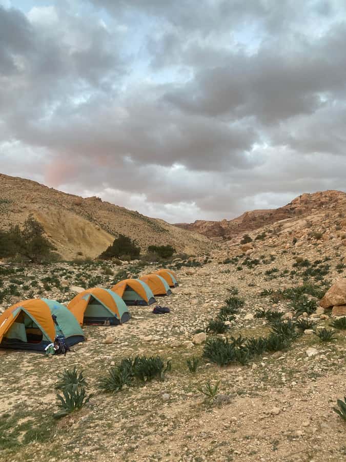 Jordan Trail: Dana to Petra 4-Day Trekking Tour - Petra via the back trail: why Little Petra changes the ending