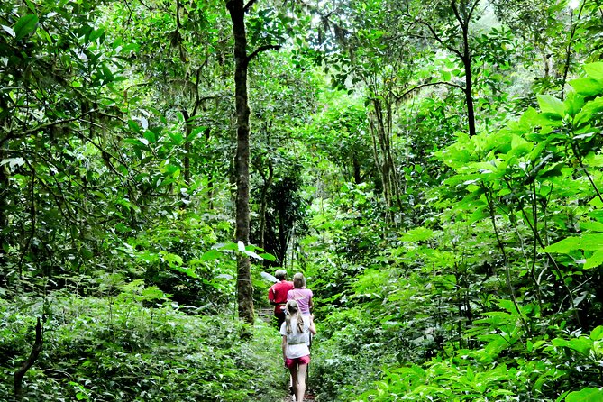 Jungle Trekking and Tamblingan Lake Canoeing in Bali Rainforest - Canoeing on Tamblingan Lake: Dugout Canoe Time, Different Views