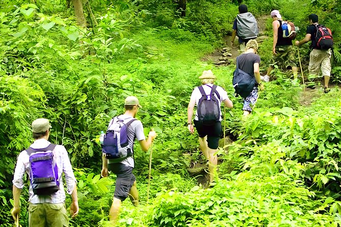 Jungle Trekking and Tamblingan Lake Canoeing in Bali Rainforest - The Jungle Trek: Walking With a Local Guide, Not Following a Guess