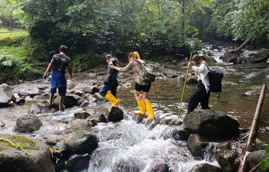 Jungle Trekking at Mt. Batukaru, scenic Waterfall & village - Walking Mt. Batukaru’s rainforest: the part that feels real