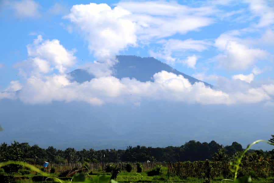 Jungle Trekking at Mt. Batukaru, scenic Waterfall & village - Hiking breaks and timing: what the day feels like