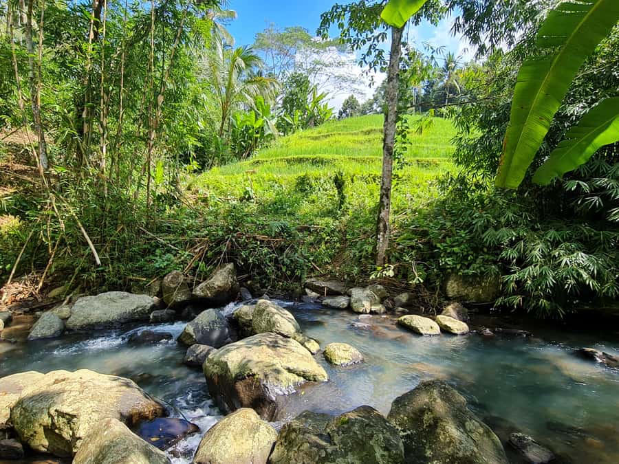 Jungle Trekking at Mt. Batukaru, scenic Waterfall & village - Pengempu Waterfall: finish with one last nature photo