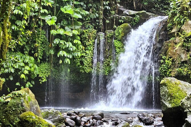 Jungle Trekking at Mt. Batukaru, scenic Waterfall & village life - Key Things You’ll Notice on This Mt. Batukaru Day