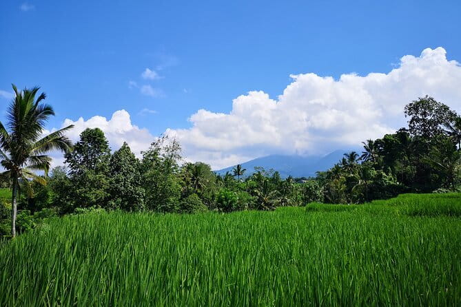 Jungle Trekking at Mt. Batukaru, scenic Waterfall & village life - Why Mt. Batukaru Jungle Trek Feels More Local Than a Standard Day Trip