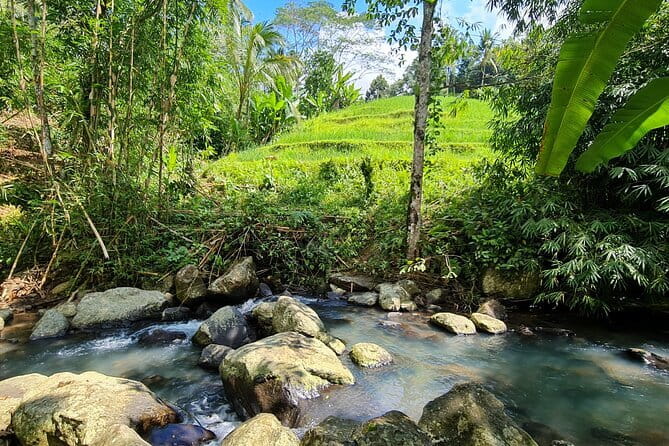 Jungle Trekking at Mt. Batukaru, scenic Waterfall & village life - Pura Luhur Batukaru: A Sacred Morning Before the Forest Walk