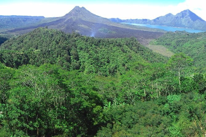 Jungle Trekking at Mt. Batukaru, scenic Waterfall & village life - The Sacred Rainforest Hike: 2 Hours That Actually Teach You Something