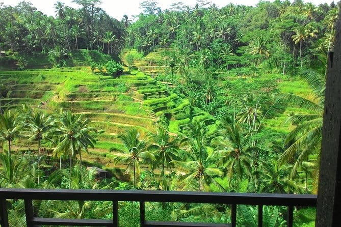 Jungle Trekking at Mt. Batukaru, scenic Waterfall & village life - Balikaru Farm, Stingless Trigona Bees, and Hot Springs