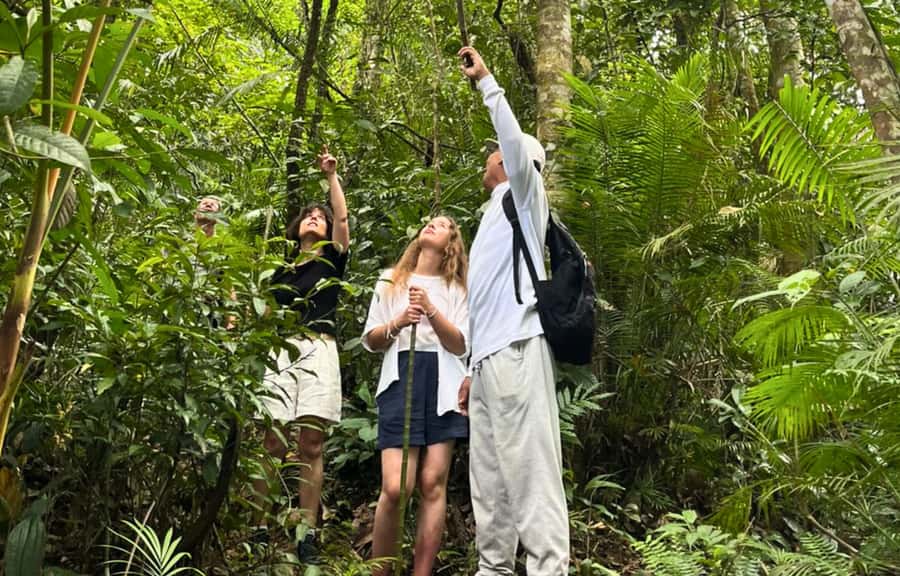 Jungle Trekking at Mt. Batukaru, scenic Waterfall & village - Pura Luhur Batukaru and the mountain-temple start