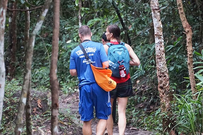 Jungle Trekking Tour at Phnom Kulen National Park from Siem Reap - Why Phnom Kulen Works as a Break From Temple-Only Days