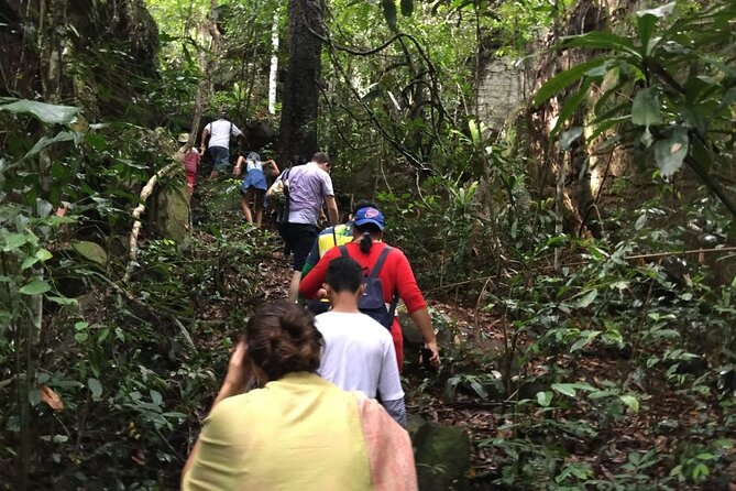 Jungle Trekking Tour at Phnom Kulen National Park from Siem Reap - Phnom Kulen Waterfall: Swim Time, Plus the Real-World Caution